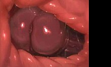 whisperingfornothing furry animated orgy creampie riding missionary big tits shemale