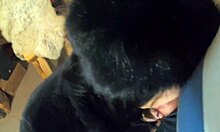 Wearing Shiny Boots And Fur Coat, Milfycalla Deepthroats Huge Load In Glamorous Close-Up Cum Swallow