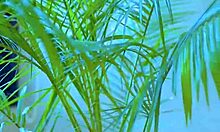 WOW! Gorgeous Asian teen vibes Lovense Lush vibrator to orgasm explosion!