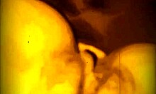 men give cock suck pussy rim ass worship eagerly