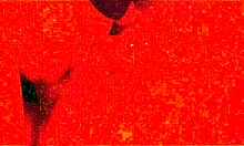 Amateur BBW Milf Gives Pro Sucking Handjob Close-Up