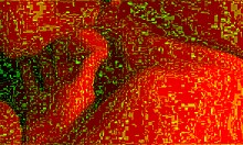 Amateur BBW Milf Gives Pro Sucking Handjob Close-Up