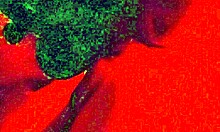 Amateur BBW Milf Gives Pro Sucking Handjob Close-Up