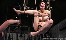 tattooed slave strung up in ropes for reversa caning and tit torment session