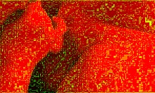 Amateur BBW Milf Pro Sucks Cock Blindfolded