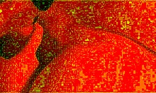 Amateur BBW Milf Pro Sucks Cock Blindfolded