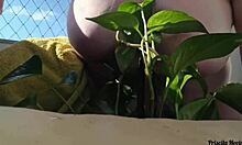 naked tattooed babe waters plants on public balcony