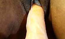 desi girl moans loud as carrot slides deep in wet pussy hotel