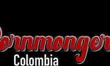 backstage alexa lewis and danyel mast go anal fucking in the laundry room close-up