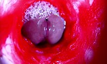 Extreme close-up dive inside her dripping wet pussy asmr