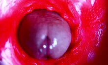 Extreme close-up dive inside her dripping wet pussy asmr