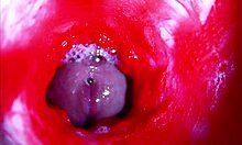 Extreme close-up dive inside her dripping wet pussy asmr