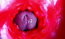 Extreme close-up dive inside her dripping wet pussy asmr