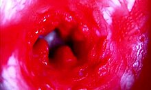Extreme close-up dive inside her dripping wet pussy asmr