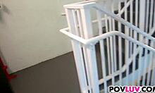 Innocent dixie belle teen rides monster cock pov hardcore close-up