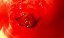 pregnant fuck doll moans through huge cock creampie orgasm close-up