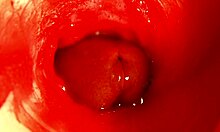 pregnant fuck doll moans through huge cock creampie orgasm close-up