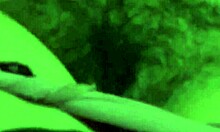 i catch stepmom restin n rubbin her wet pussy moanin for dick