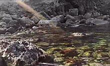 public beach sluts bare big natural tits in flashing frenzy.