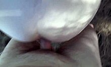 breeding celestina blooms deep in nature 🌿💦