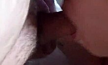 Lucy Amanita's Pierced Nipples Bounce In My Intense POV Blowjob!