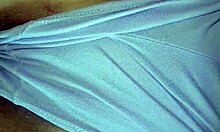 Raw bareback slams big ass latina employee pussy.