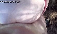 breeding celestina blooms deep in nature 🌿💦