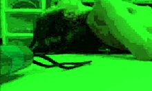 Skinny teen shoplifter nadia noja orgasms hard on mall cop's big cock deal 😈🚔 no jail time