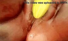 VILLAGE HOUSEWIFE FUCKS HUSBAND IN BATHROOM! CUMSHOT ORGASM WHILE HIDING!!