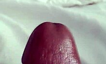 Ready for that hard BBC in your tight pussy?