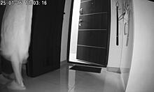 friend pounds wife's ass deep then explodes cum in mouth!