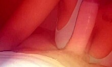 imagine this teen hoe slurping cock homemade