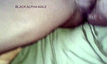 i watched step cousin rail my crush hard pov full vid on sheer