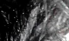 Bruna Silva Hotwife Takes Creampie In Car While Cuckold Films Her Ass Pounding