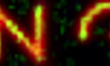 Heart Pounding As Masked Latina Fingers Tight Pussy And Begs For More