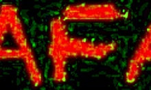 alice dives back into dirtyland with malafalda's pukefuck anal vomit teaser