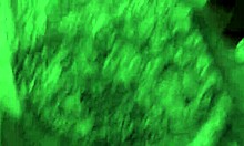 Neighbor Flexes Deepthroat Skills During Surprise Sloppy Lick Session