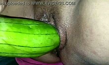 friends gifted me a christmas whore for rough creampie fun