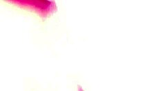 man i love licking my girlfriend's soft feet and toes