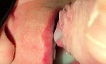 Sabrinafoxy blows fan swallows his hot load