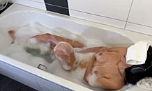 stepmom catches stepson stroking cock in her steamy bathroom