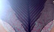 wanna worship elza's curvy nylon tights and fat ass in domination fetish play?