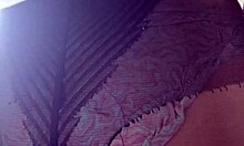 wanna worship elza's curvy nylon tights and fat ass in domination fetish play?