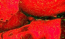 Hey dude, that hot tat girl's getting roughly fucked in the redroom, right?