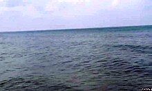 wanna see hollis ireland's big pussy lips in micro bikini?