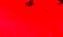 you love watching this blindfolded sub whore deepthroat swallow every drop asmr style don't you?