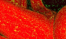 you love watching this blindfolded sub whore deepthroat swallow every drop asmr style don't you?