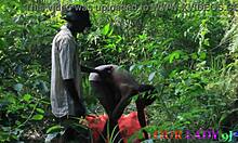 lucky hunter bends horny african bush girl doggystyle on ranch squirting wet