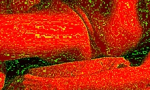 Cum hungry bbw wife blindfolded and moaning swallows every deepthroat drop in close-up homemade blowjob