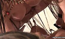 Suggestive asian babes lure into kinky lesbo foursome licks and toys